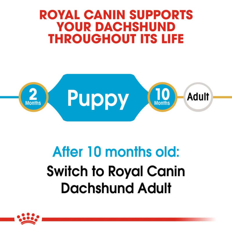 Chart: Switch Royal Canin Dachshund Puppy 1.5kg to adult food at 10 months for dachshunds.
