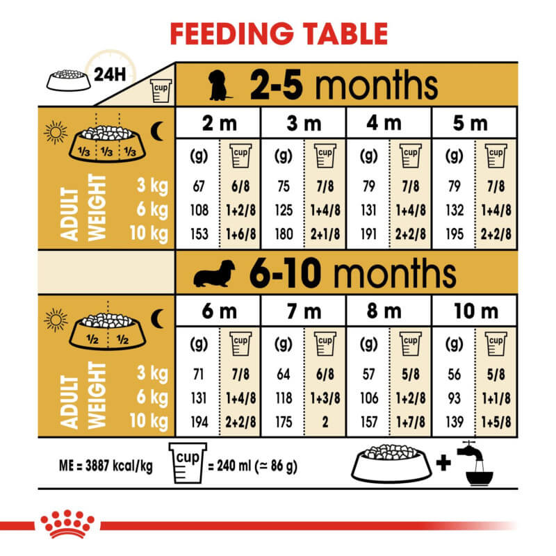 Royal Canin Dachshund Puppy 1.5kg feeding table: age, weight, and daily food amounts for cats.