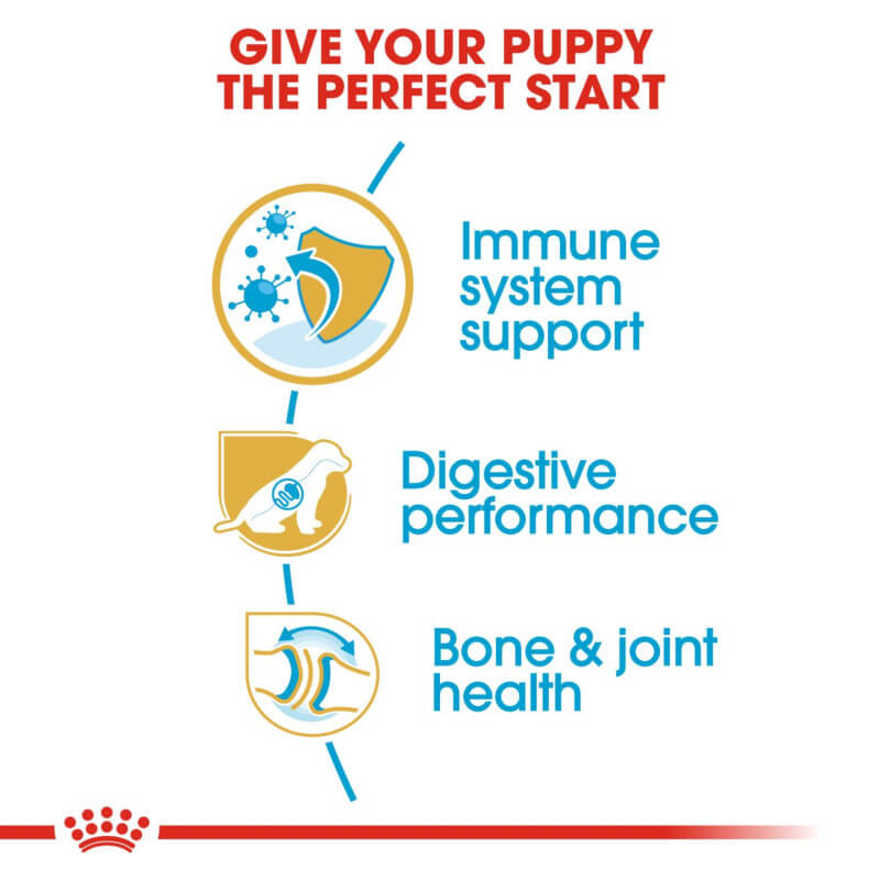 Royal Canin German Shepherd Puppy: supports immunity, digestion, and bone & joint health.