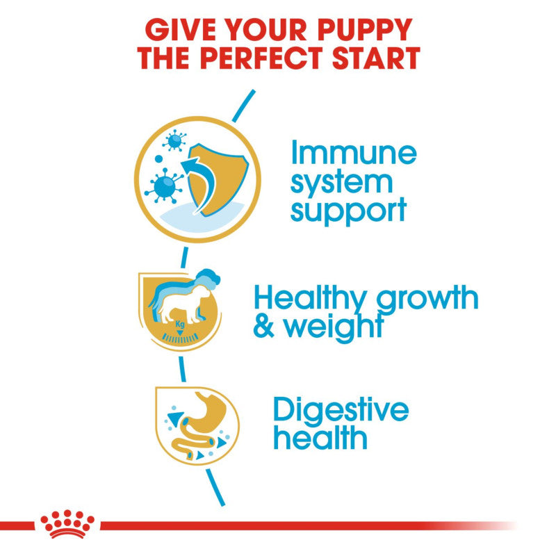 Royal Canin Labrador Retriever Puppy food supports immunity and balanced nutrition for puppies.