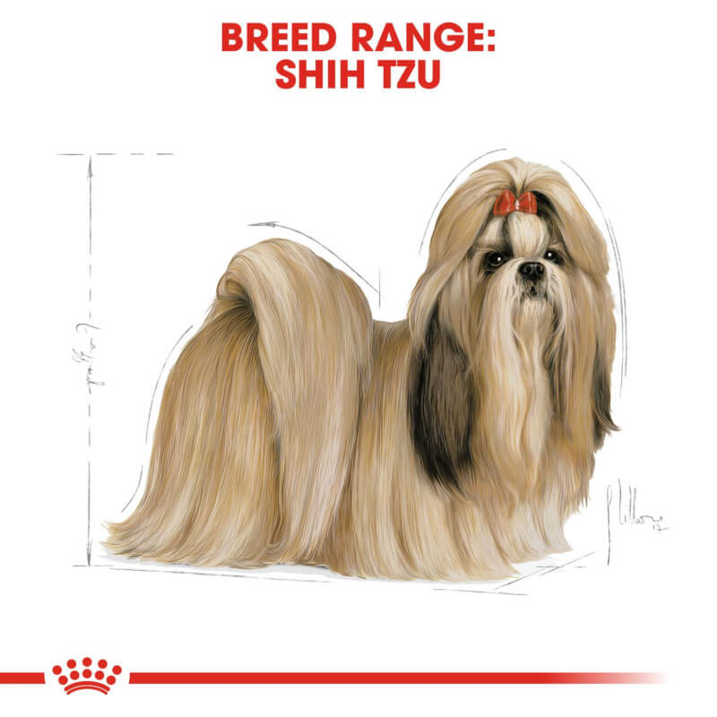 Illustration of a long-haired Shih Tzu with a red bow, labeled Royal Canin Shih Tzu.