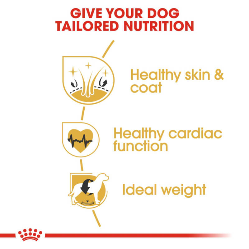 Royal Canin Golden Retriever Adult: supports healthy coat, heart, and ideal weight.