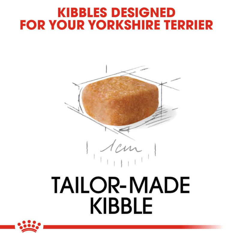 A single square kibble with dimension lines, labeled Royal Canin Yorkshire Terrier Puppy 1.5kg.