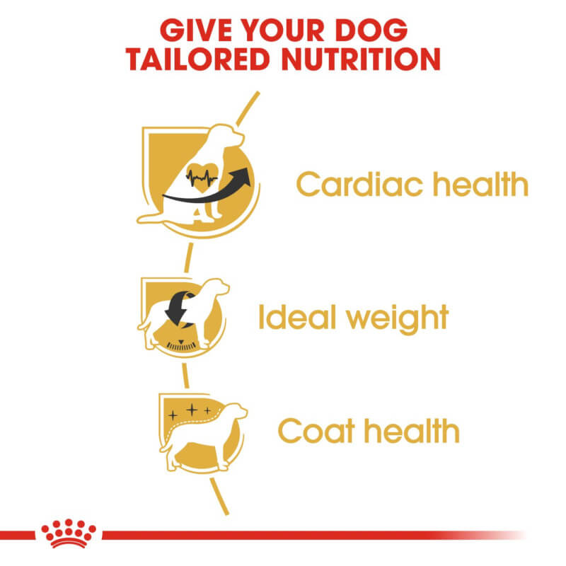 Infographic shows Royal Canin Cavalier King Charles supports heart, weight & coat health.