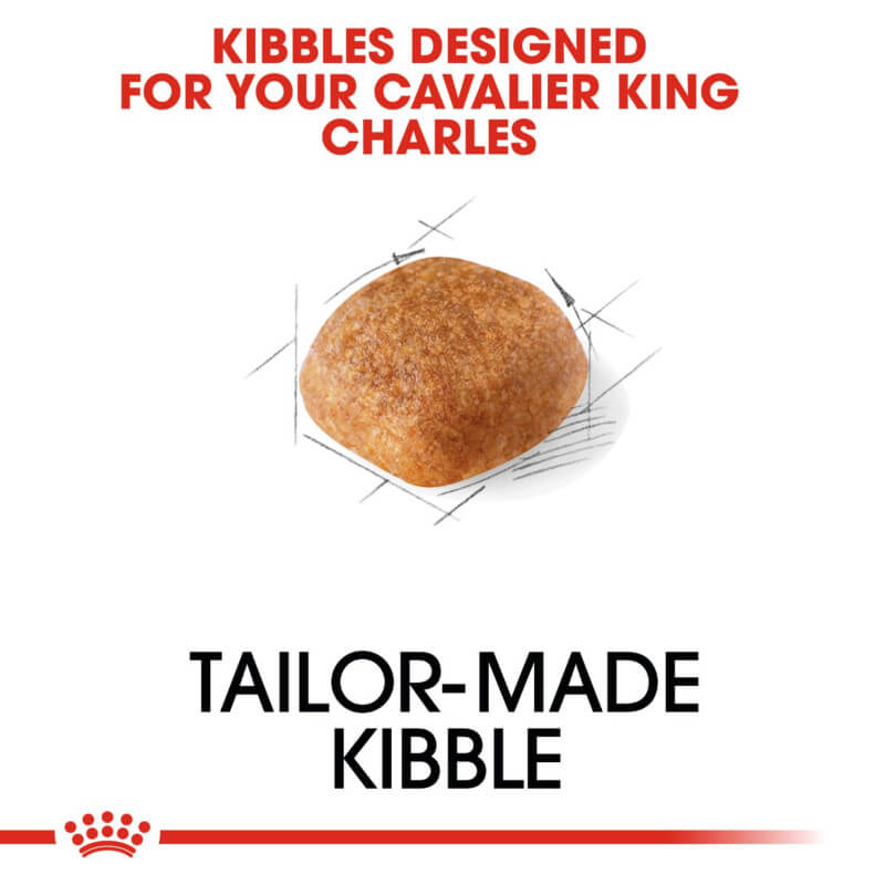 A single brown kibble: Royal Canin Cavalier King Charles dry dog food.
