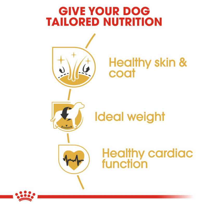 Royal Canin Cocker: breed-specific food for skin, coat, weight, and heart health benefits.