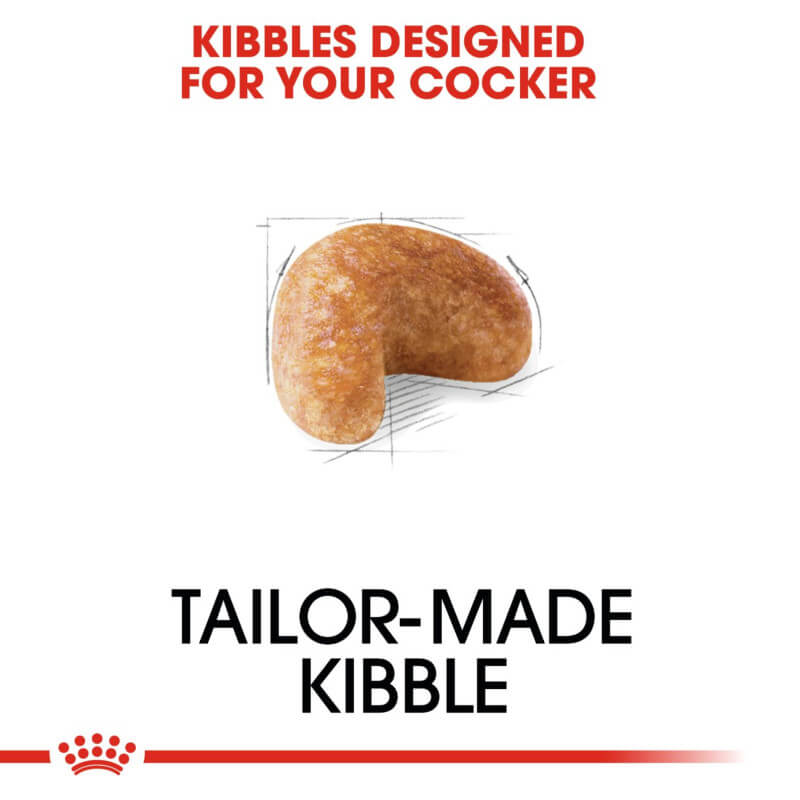 A single, curved piece of Royal Canin Cocker dog food with text: Tailor-Made Kibble.