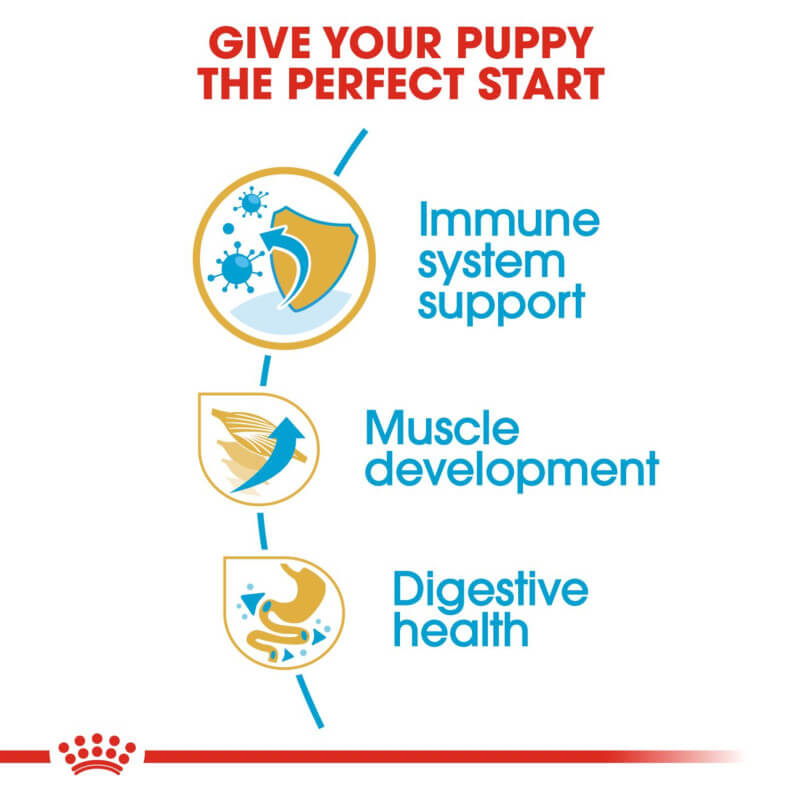 Royal Canin Boxer Puppy supports immune health and muscle growth in puppies.