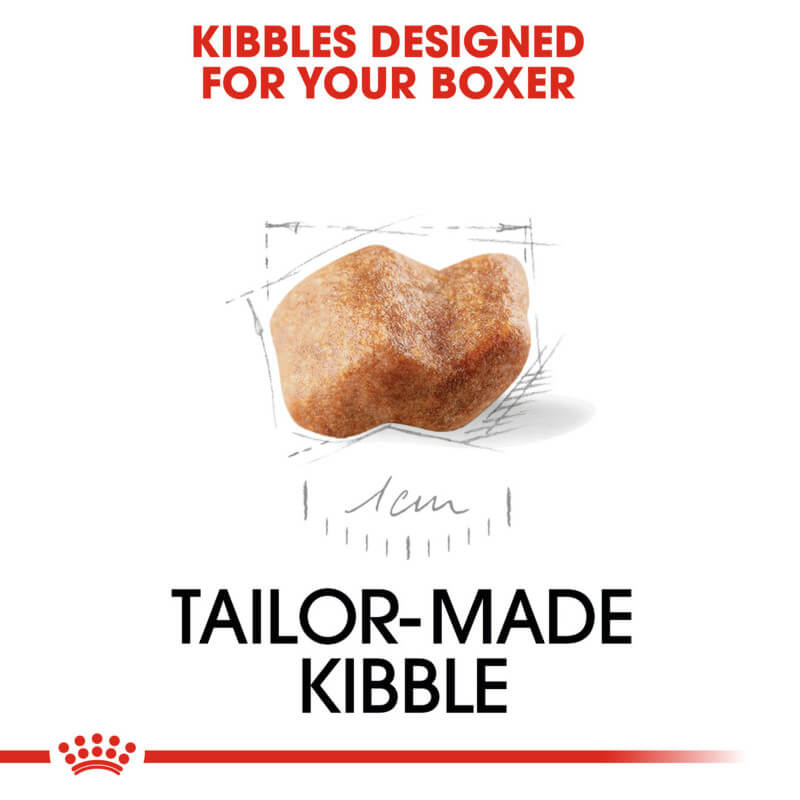 Royal Canin Boxer Puppy kibble—formulated to support muscle development in puppies.
