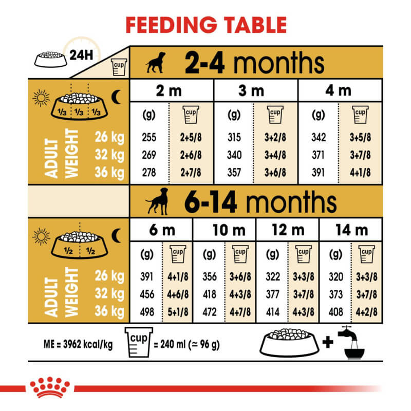 Royal Canin Boxer Puppy feeding guide shows daily food for muscle development.