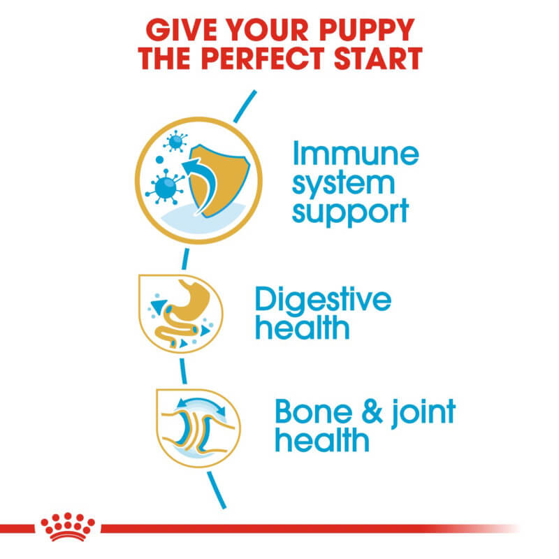 Royal Canin Bulldog Puppy benefits: supports digestion, immunity, and bone & joint health.