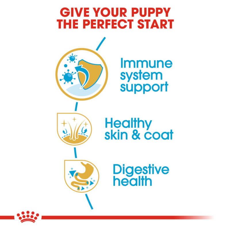 Royal Canin Golden Retriever Puppy supports digestive health and a strong immune system.