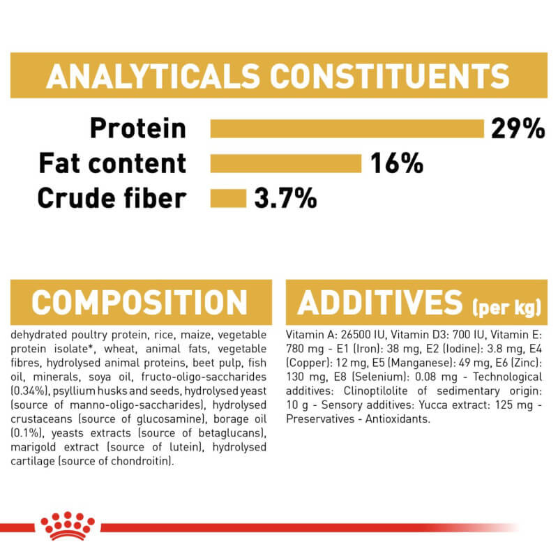 Infographic: Royal Canin Golden Retriever Puppy—protein 29%, fat 16%, fiber 3.7%.