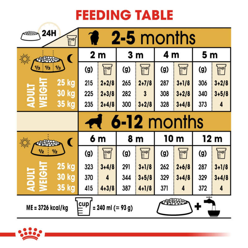 Royal Canin Golden Retriever Puppy feeding table with daily cups and meal times for digestion.