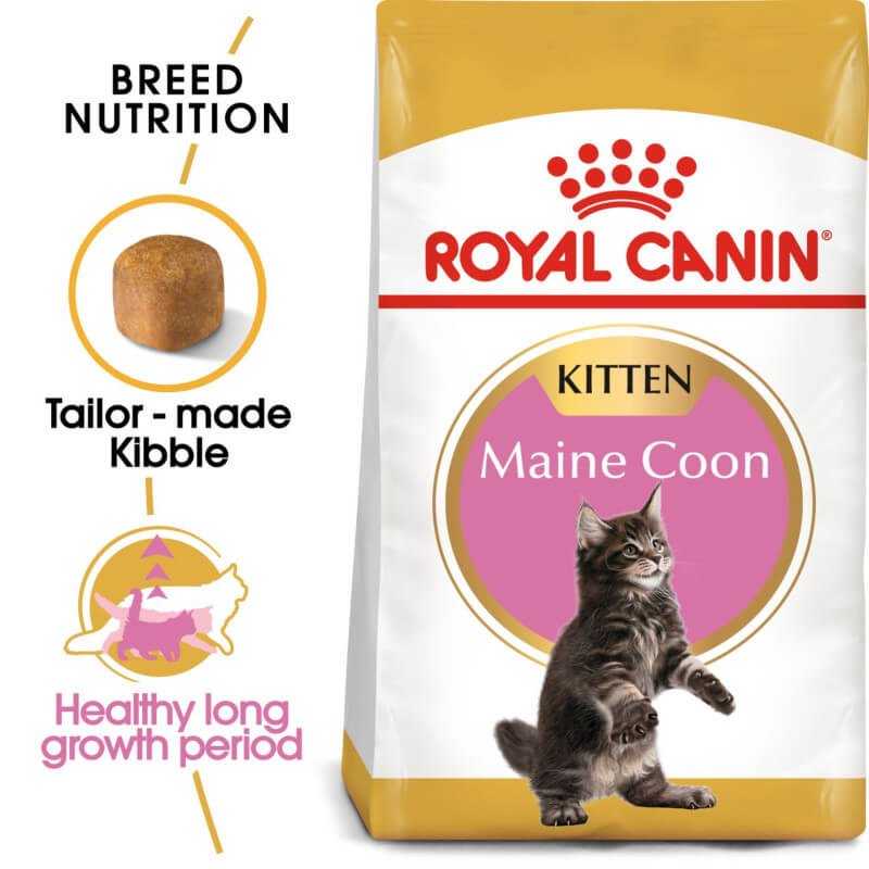 Royal Canin Kitten Maine Coon