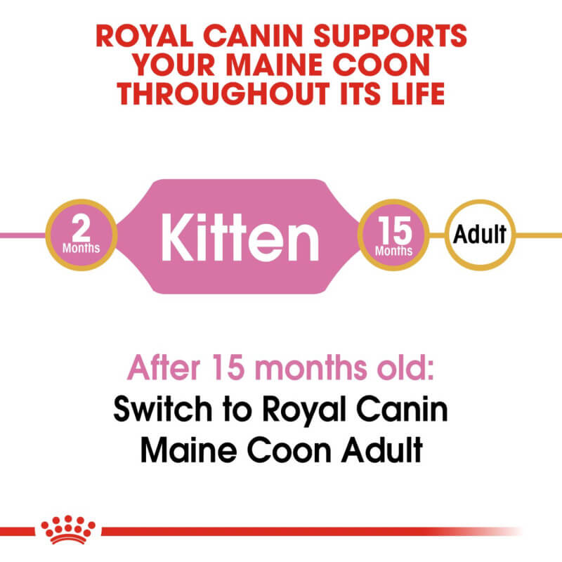 Royal Canin Kitten Maine Coon