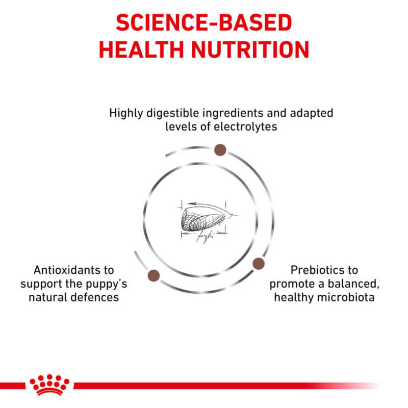 Royal Canin Veterinary's Gastro Intestinal Puppy food supports digestion with antioxidants, prebiotics.