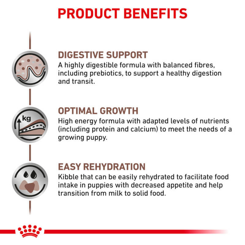 Three icons show Royal Canin Gastro Intestinal Puppy food aids digestion, growth, and rehydration.