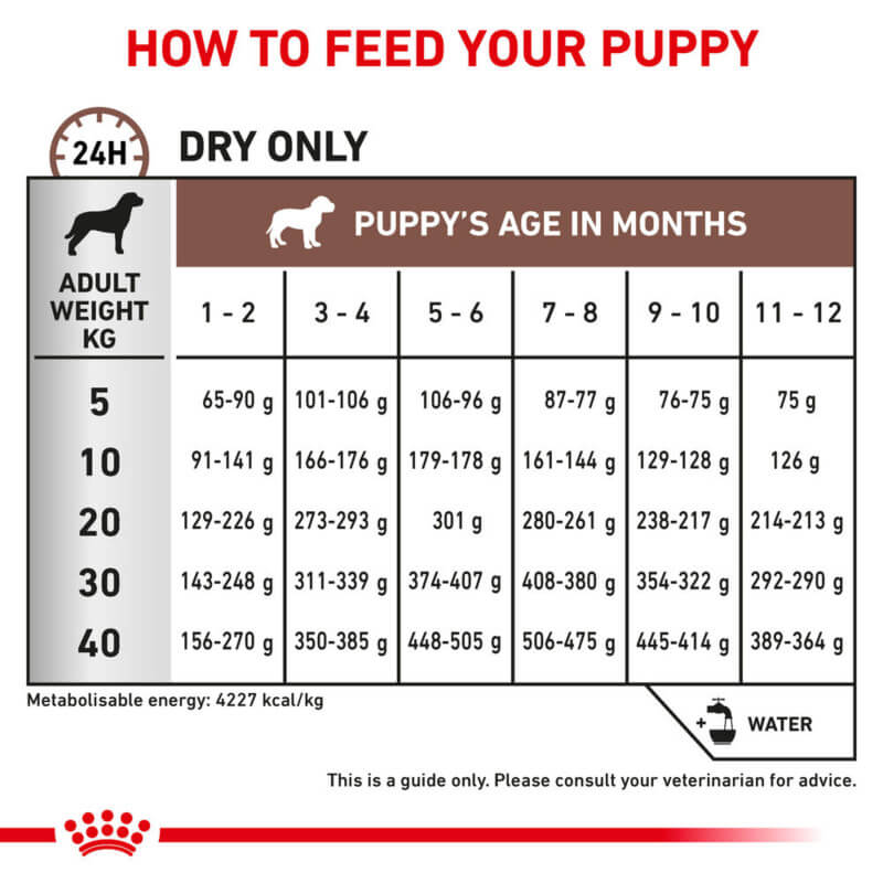 Royal Canin Veterinary puppy feeding chart with daily food amounts by age and adult weight in kg.