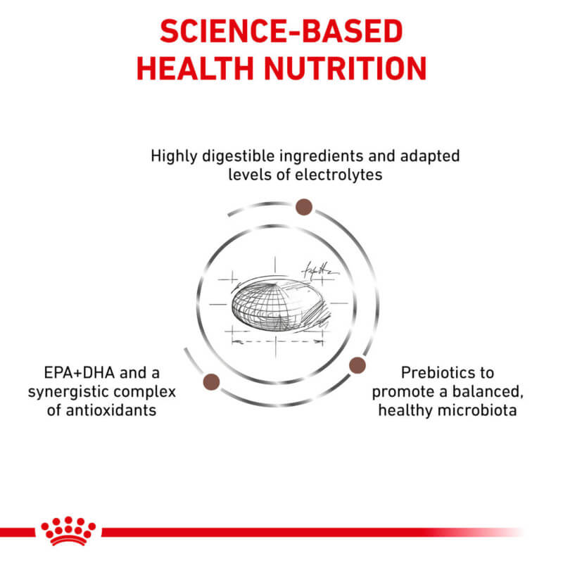 Infographic: Royal Canin Veterinary Gastro Intestinal Dog Food—3 key benefits in a central diagram.