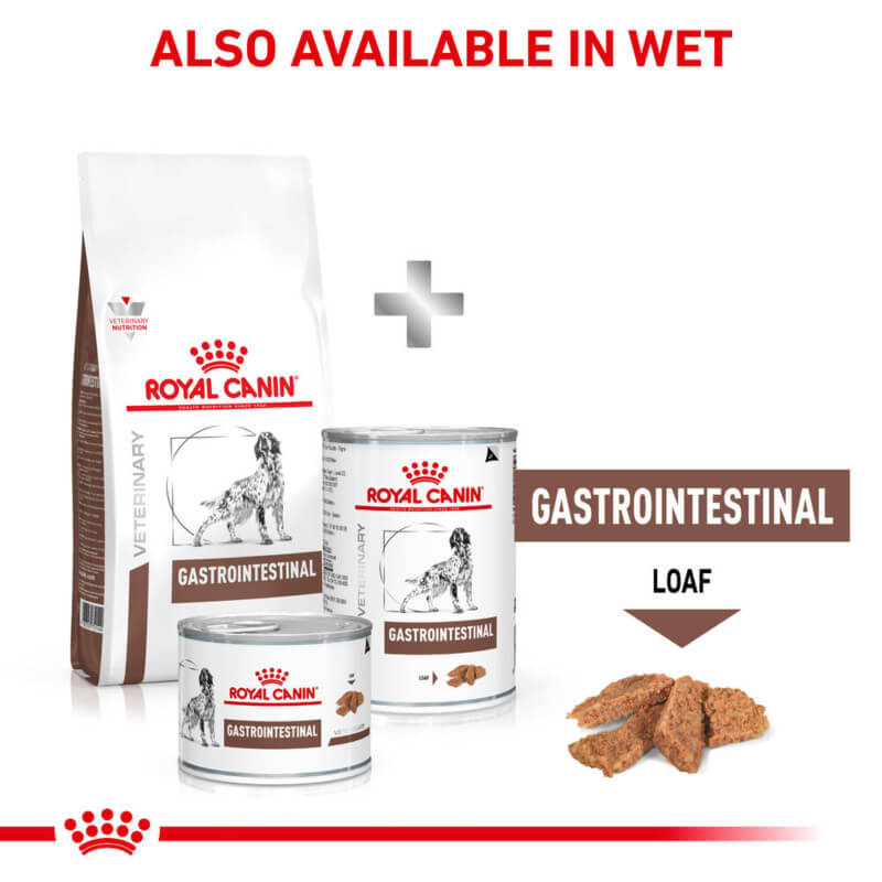Royal Canin Veterinary Canine Gastro Intestinal Dry Food for digestive care, product shown.