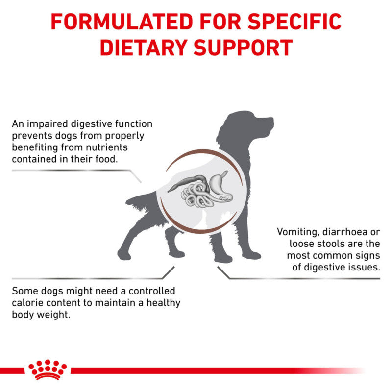 Dog silhouette with digestive system; highlights Royal Canin Veterinary Gastrointestinal Moderate Calorie.