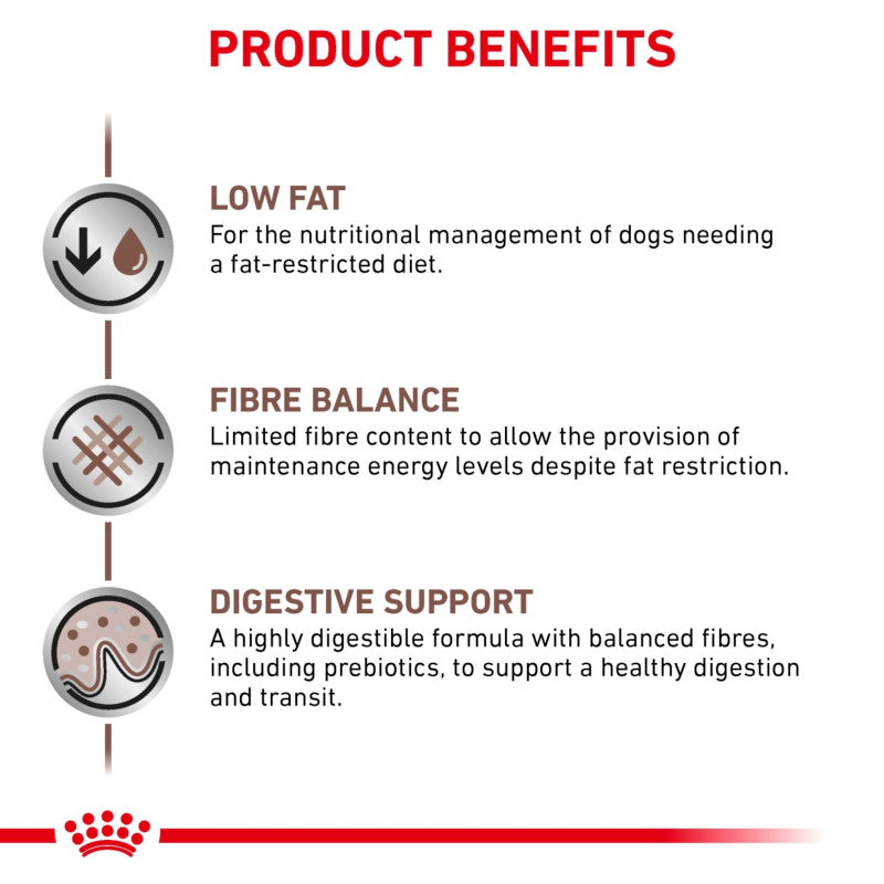 Infographic lists benefits: fibre balance, digestive care, low fat in Royal Canin Veterinary Gastro Intestinal.