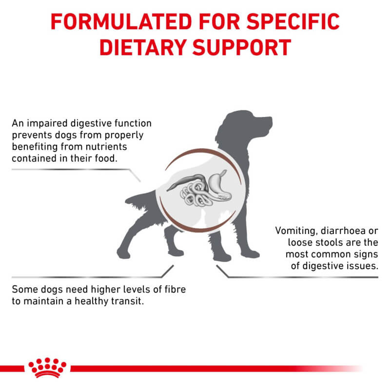Dog silhouette with digestive system, featuring Royal Canin Veterinary Gastro Intestinal High Fibre.