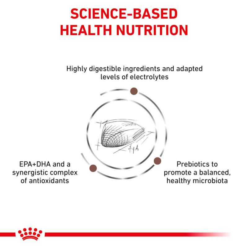 Royal Canin Feline Gastro Intestinal