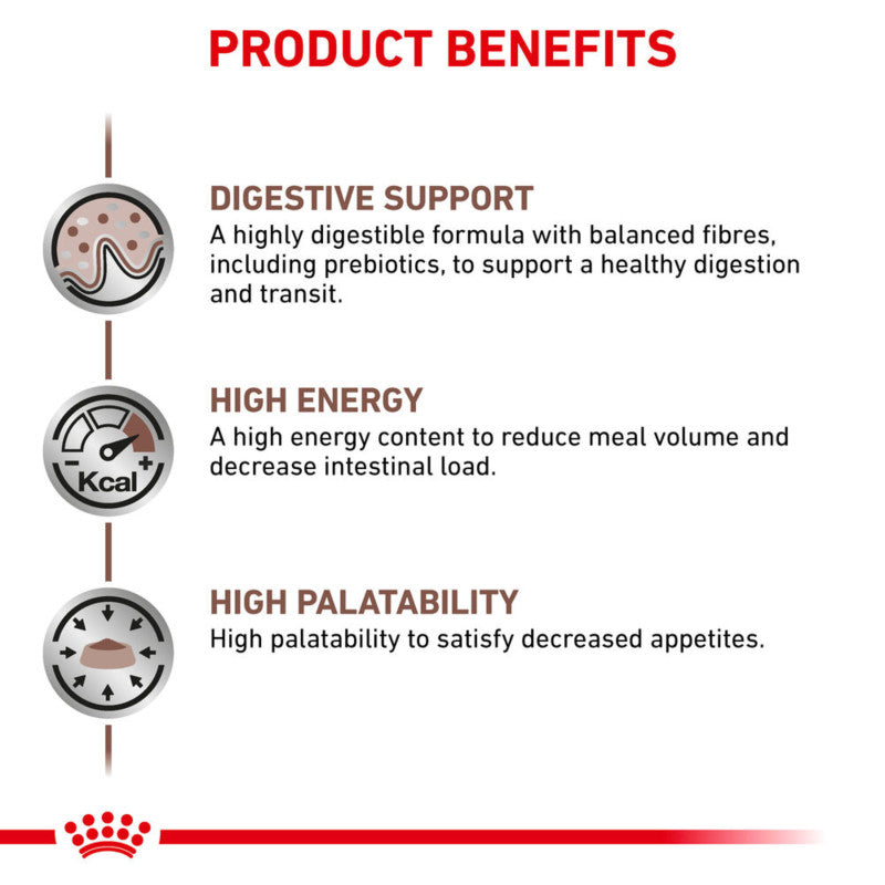 Royal Canin Feline Gastro Intestinal