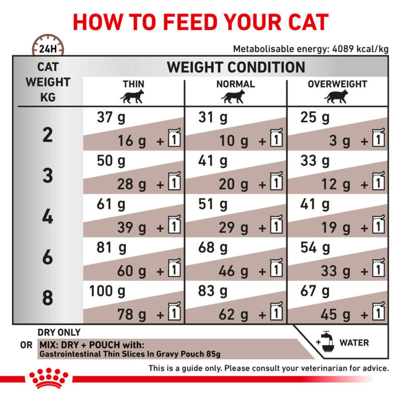 Royal Canin Feline Gastro Intestinal