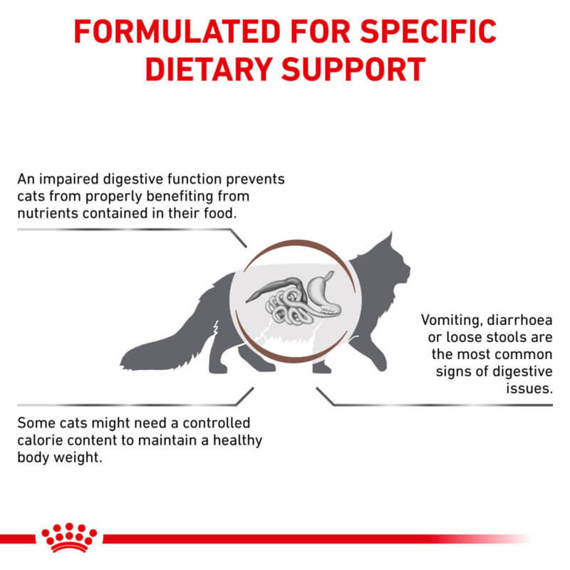Infographic shows how Royal Canin Feline Gastro Intestinal supports cat digestion.