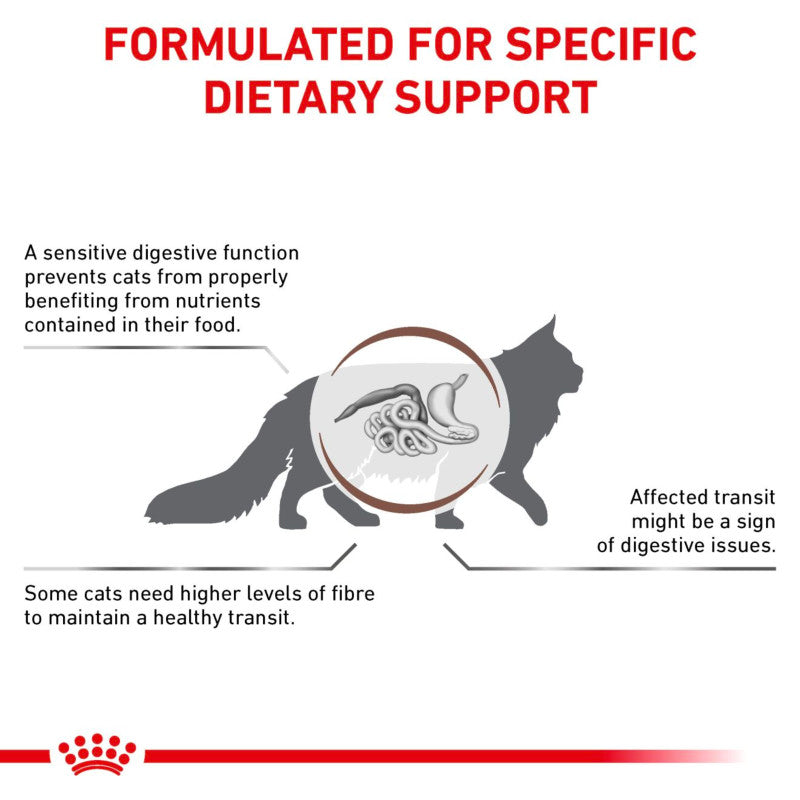 Cat silhouette with digestive organs, highlighting Royal Canin Veterinary Feline Fibre Response.