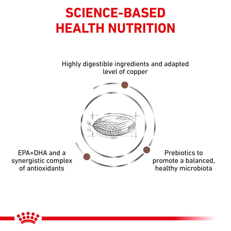 Diagram with icons and text showing key benefits of Royal Canin Canine Hepatic Dry Dog Food.