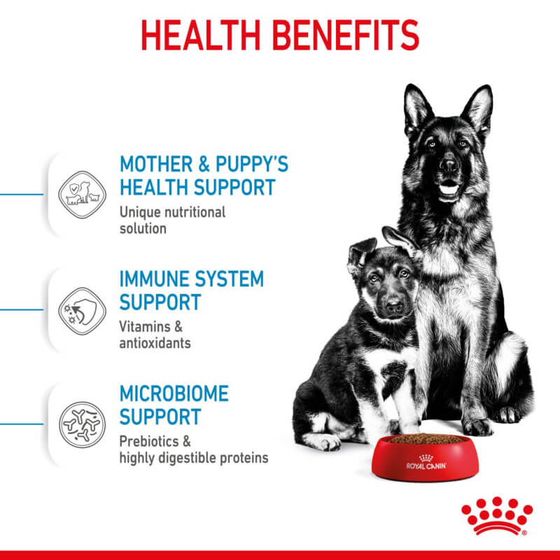 Royal Canin Maxi Starter puppy food for large breeds, ideal for mother and babydog.