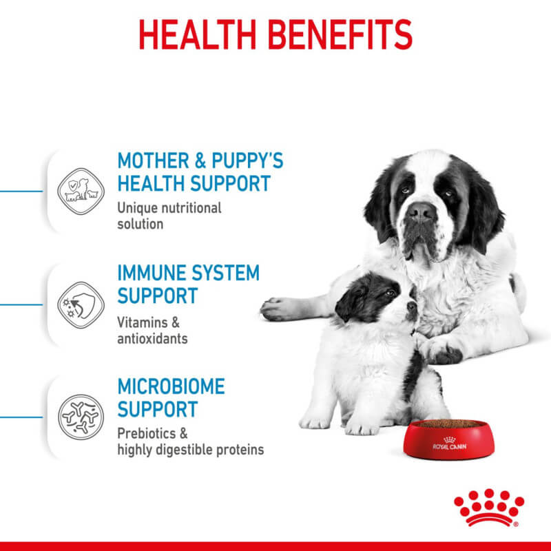 Royal Canin Giant Starter food for mother dogs & puppies aged 1-2 months.