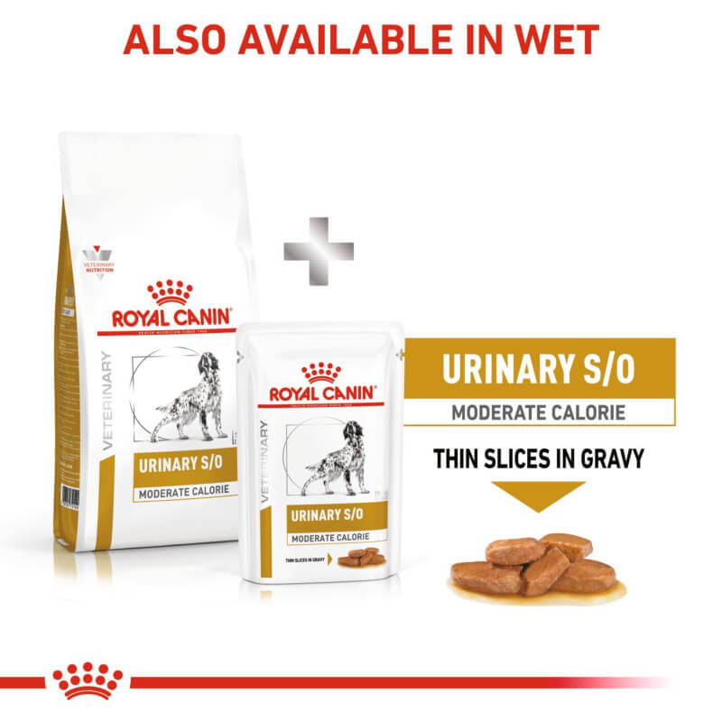 Royal Canin Veterinary Canine Urinary S/O Moderate Calorie helps dissolve struvite stones.
