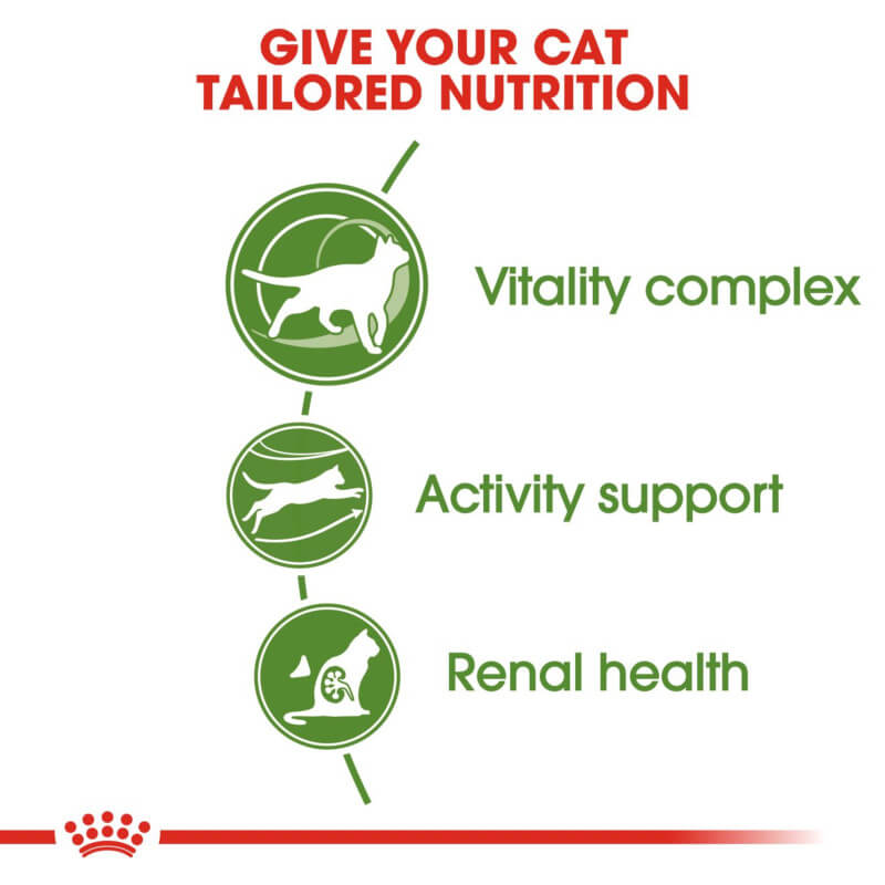 Royal Canin Outdoor 7+: icons for vitality, activity, joints & renal health in senior cats.