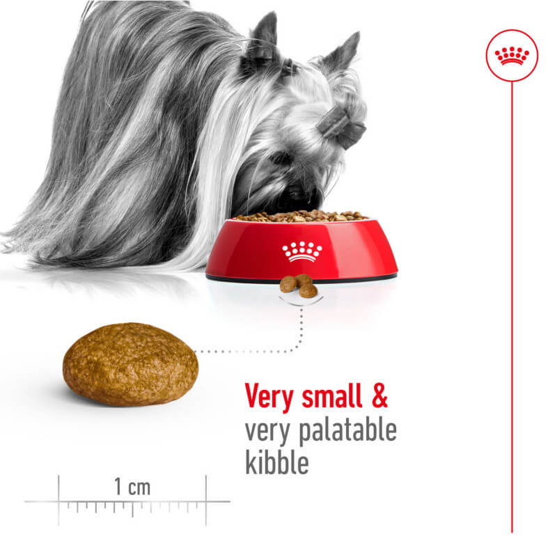 Royal Canin X-Small Adult 1.5kg: Tasty small-breed dog food with extra-small, palatable kibble.