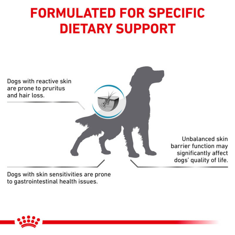 Dog silhouette with Royal Canin Veterinary Canine Skin Care for sensitive skin support.