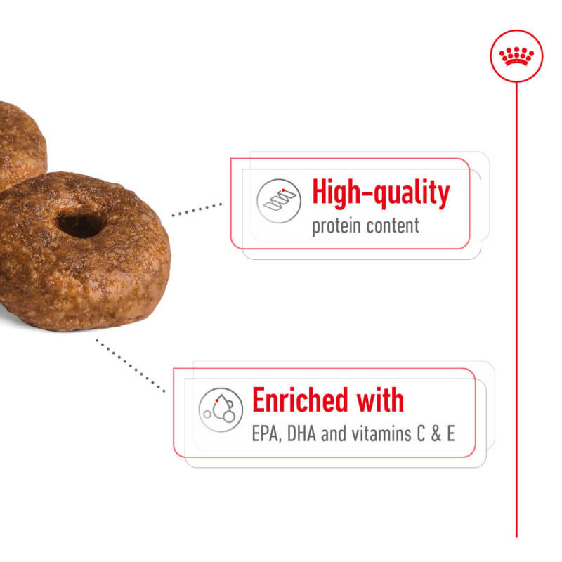 Brown donut-shaped kibble: Royal Canin Medium Ageing 10+ with EPA, DHA, C & E for healthy ageing.