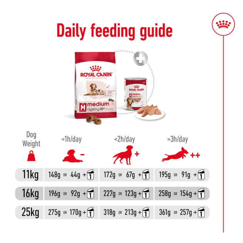 Royal Canin Medium Ageing 10+ guide: dog weight & exercise-based daily feeding amounts.