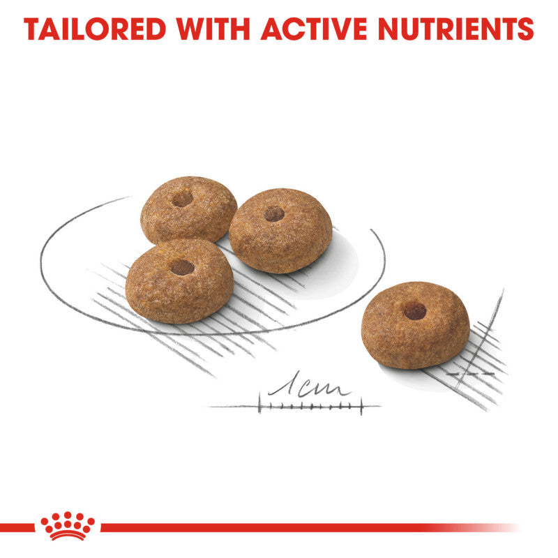 Four pieces of Royal Canin Mini Sterilised Adult Care on white background with measurement lines.