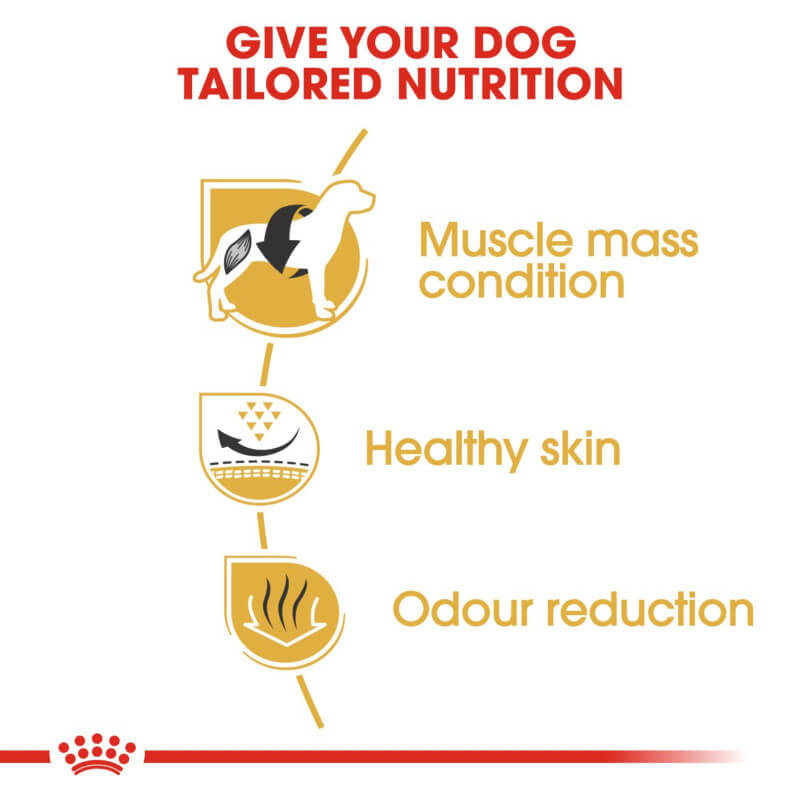 Royal Canin French Bulldog nutrition for muscle, skin, and odour support in adult dogs.