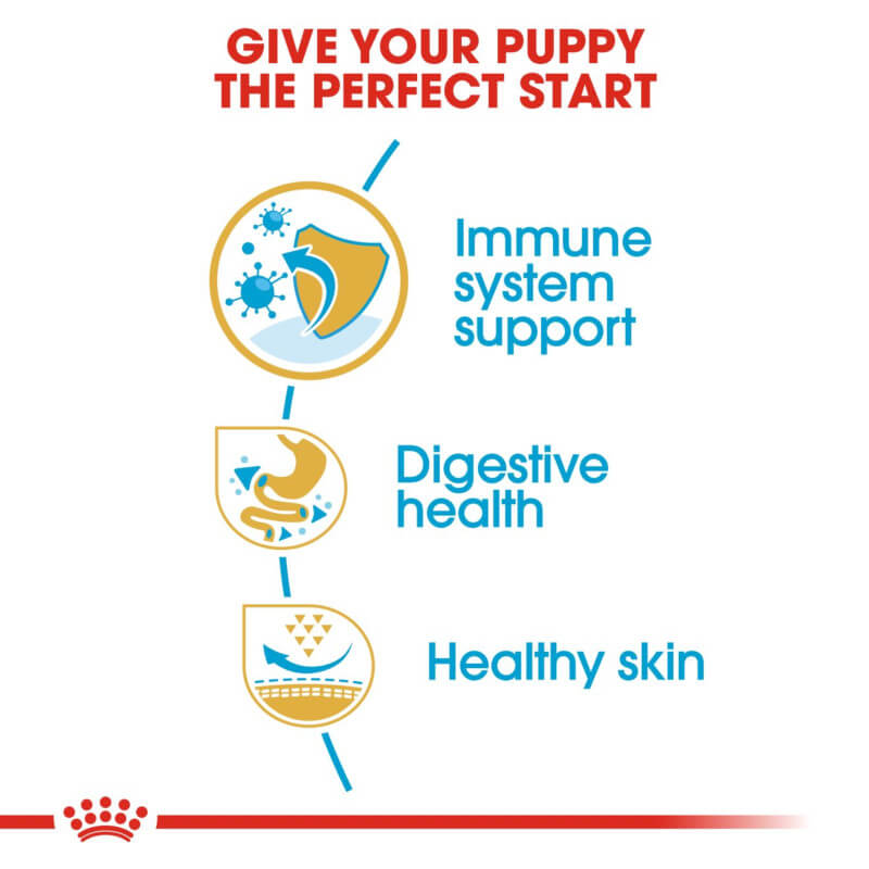 Royal Canin French Bulldog Puppy highlights immune, digestive, and skin health support.