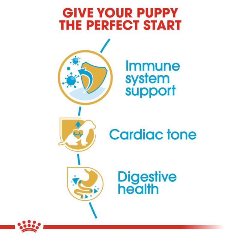 Royal Canin Cavalier King Charles Puppy 1.5kg: immune support, heart health, growth benefits.