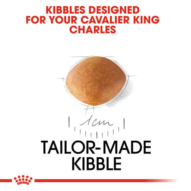 Royal Canin Cavalier King Charles Puppy 1.5kg: Tailored kibble for healthy puppy growth.