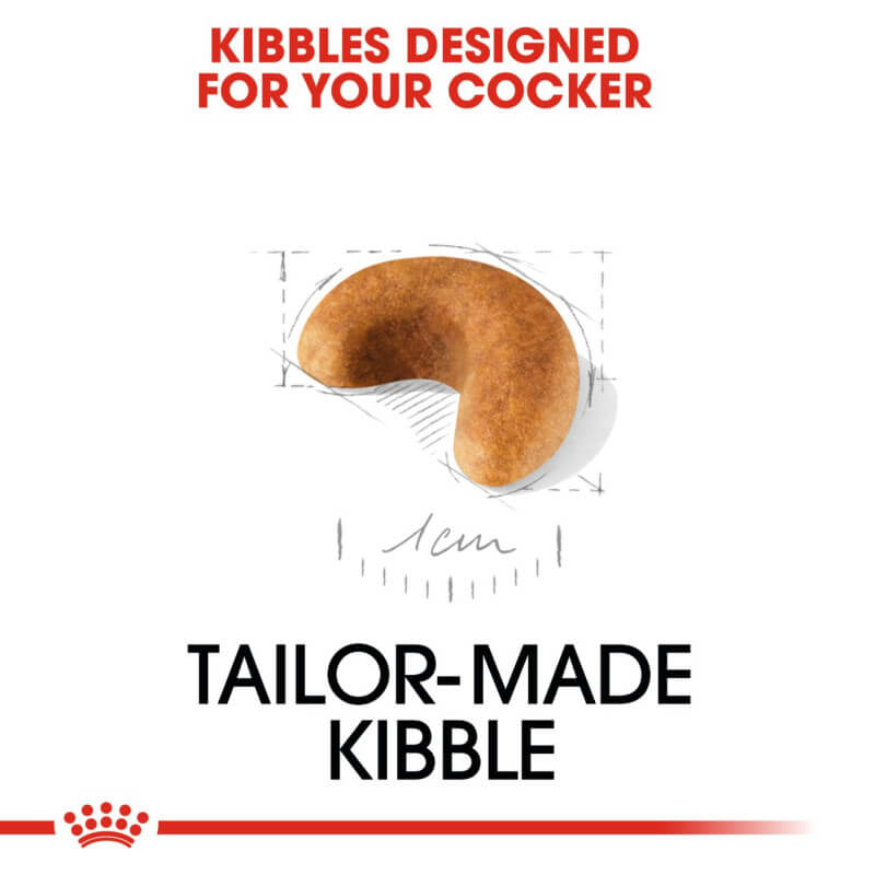 Brown, curved kibble: Royal Canin Cocker Spaniel Puppy 3kg supports puppy digestive health.