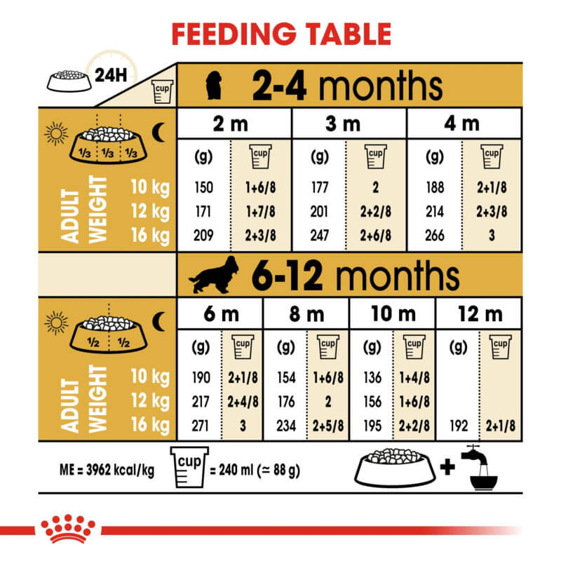 Royal Canin Cocker Spaniel Puppy 3kg feeding table: daily portions for healthy digestion.