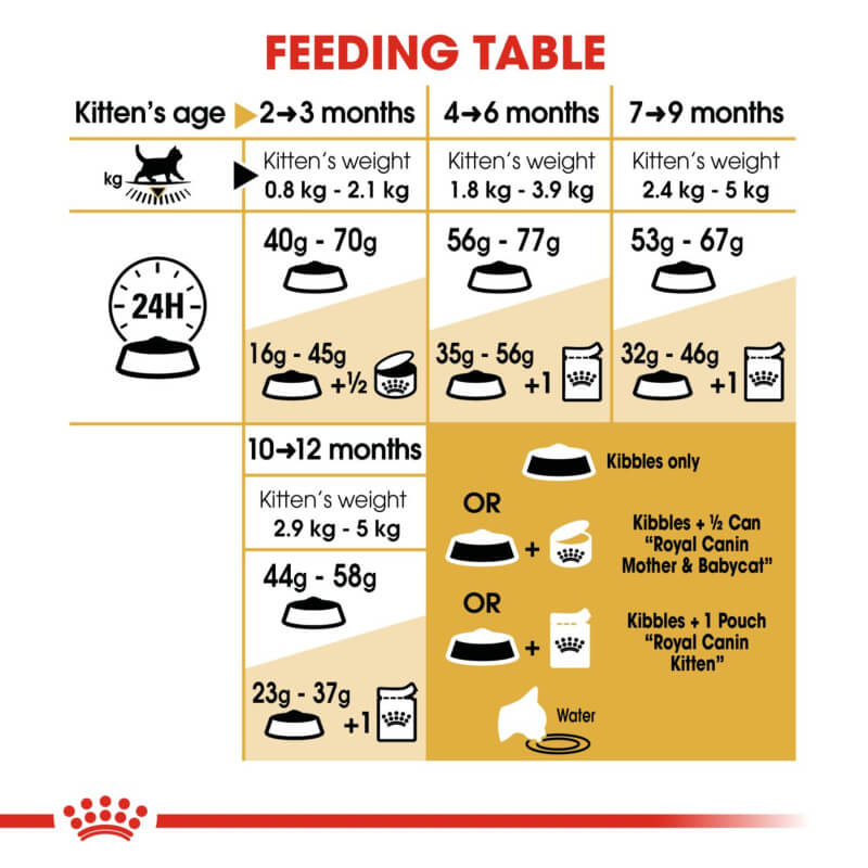 Kitten feeding table: food amounts by age, weight, and Royal Canin Kitten British Shorthair options.